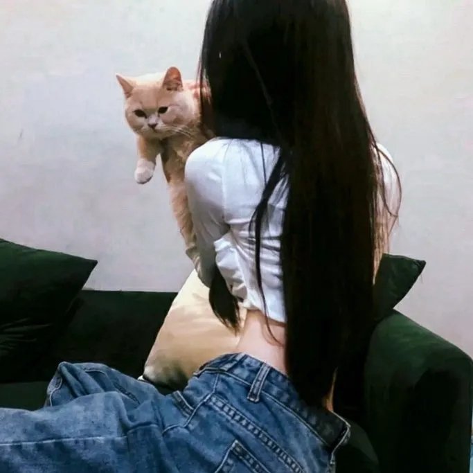飞向月球